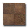 Esquire Tile Esquire Tile Chateau Lyon 18 X 18 Marron Tile  &  Stone