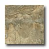 Domco Domco Eloquence - Bridgestone 70k24 Vinyl Flooring