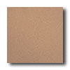 American Olean American Olean Quarry Naturals Abrasive 6 X 6 Desert Tile  &  Ston