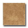 Emser Tile Emser Tile Casa 8 X 8 Cafe Tile  &  Stone