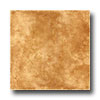 Angelgres Angelgres Oregon 12 X 12 Cotto Tile  &  Stone