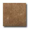 Tilecrest Tilecrest Travertino 20 X 20 Walnut Tile  &  Stone