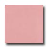 Interceramic Interceramic Colours 8 X 8 Pink Doll Tile  &  Stone