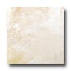 Tesoro Tesoro Elegance 20 X 20 Osso Tile  &  Stone