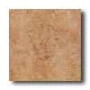 New World New World X Series 18 X 18 Brown Tile  &  Stone