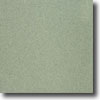 Marazzi Marazzi Graniti Polished 12 X 12 Marina (seafoam) Tile  &  Stone