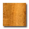 Wilsonart Wilsonart Red Label Distressed 5 Rio Grand Laminate Flooring
