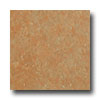 Earth Werks Earth Werks Aspen Aa801 Vinyl Flooring