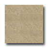 Armstrong Armstrong Camino 18 X 18 Purcara Tile  &  Stone
