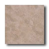Alfa Ceramica Alfa Ceramica Imperial 18 X 18 Romano Beige Tile  &  Stone