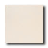 American Olean American Olean Integra 12 X 12 Natural Haze Tile  &  Stone
