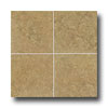 Esquire Tile Esquire Tile Spoleto 18 X 18 Noce Tile  &  Stone