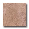 Tesoro Tesoro Travertino Fiorito 13 X 13 Noce Tile  &  Stone