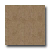 Armstrong Armstrong Arayan 13 X 13 Tostada Tile  &  Stone