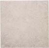 Interceramic Interceramic Northwoods 14 X 14 Spruce Tile  &  Stone