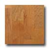 Anderson Anderson Mountain Hickory Rustic 5 Haversack Hardwood Flooring