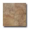 Daltile Daltile Florenza 18 X 18 Brun Tile  &  Stone