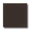 Daltile Daltile Modern Dimensions 2 1 / 8 X 8 1 / 2 Black Tile  &  Stone