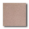 American Olean American Olean Terra Paver Unpolished 8 X 8 Ash Rose Tile  &  Ston