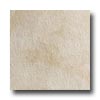 Crossville Crossville Buenos Aires Mood 4 X 24 Textured Polo Tile  &  Stone