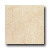 Panaria Ceramica Panaria Ceramica Italian Stone 12 X 12 Bottesino Classico Tile  &