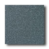 American Olean American Olean Terra Granite 12 X 12 Speckled Coal Tile  &  Stone