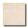 Armstrong Armstrong Classically Marble 16 X 16 Classically Marble Tile  &  S