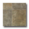 Tarkett Tarkett City View - Urban Ceramic 12 Smoke Gray Vinyl Flooring
