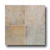 Daltile Daltile Willow Canyon 12 X 12 Mesa Sunset Tile  &  Stone