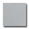 Marazzi Marazzi Le Cromie Polished 12 X 12 Larimar Tile  &  Stone