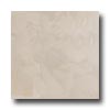 Crossville Crossville Buenos Aires Mood 6 X 6 Unpolished Polo Tile  &  Stone