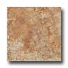Geo Ceramiche Geo Ceramiche Celtic 13 X 13 Cotto Tile  &  Stone