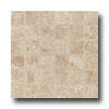 Daltile Daltile Salerno Dot Mount Mosaic 2 X 2 Cremona Caffe Tile  &  Ston