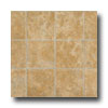 Tarkett Tarkett Contours - Idaho Stone Camel Vinyl Flooring