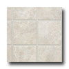 Tarkett Tarkett Preference Plus Nt - Astor 12 Dune Dust Vinyl Flooring