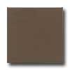 Daltile Daltile Semi-gloss 6 X 6 Artisan Brown Tile  &  Stone