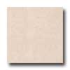 Interceramic Interceramic Ancient Marbles 16 X 16 Marfil Tile  &  Stone