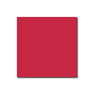 Interceramic Interceramic Bold Tones 4 X 4 Antique Red Tile  &  Stone