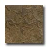 Domco Domco Eloquence - Bridgestone 70k22 Vinyl Flooring