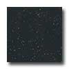 Portobello Portobello Marmi 18 X 18 Nero Marchina Tile  &  Stone