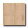 Earth Werks Earth Werks Wood Antique Plank Nwt9418cdbe Vinyl Flooring