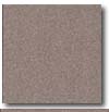 Daltile Daltile Porcealto (unpolished) 6 X 6 Grigio Scuro Tile  &  Stone
