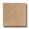 Crossville Crossville Buenos Aires Mood 12 X 12 Textured La Boca Tile  &  Sto