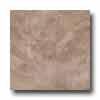 Tesoro Tesoro Montebello 10 X 13 Beige Tile  &  Stone