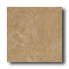 New World New World Houston 17 X 17 Noce Tile  &  Stone