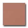 Armstrong Armstrong Mode - Solids Eartha Red Vinyl Flooring