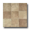 Tesoro Tesoro Kulture 6 X 6 Wood Land Tile  &  Stone