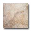 Marazzi Marazzi Solaris 12 X 12 Ginger Tile  &  Stone