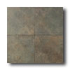 Daltile Daltile Continental Slate 12 X 12 Brazilian Green Tile  &  Stone