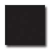 Armstrong Armstrong Mode - Solids Betcha Black Vinyl Flooring